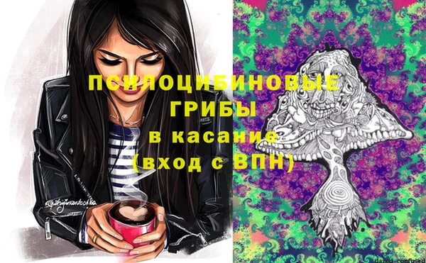 гидропоника Алексеевка